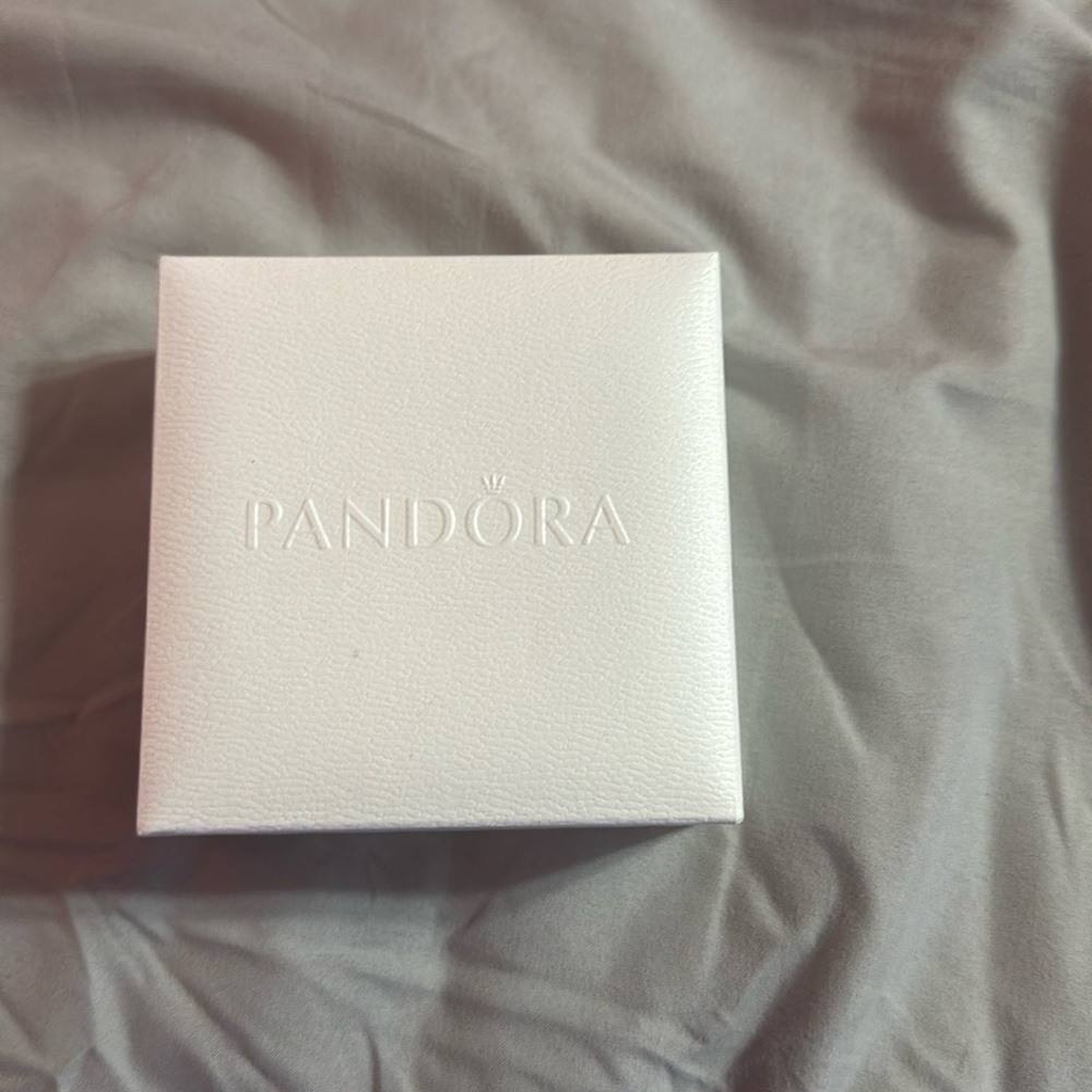 Silver Pandora bracelet